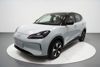 五菱汽车 五菱缤果PLUS 2024款 401km 五座版