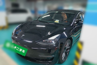 特斯拉 Model 3 2021款 Performance高性能全轮驱动版 3D6