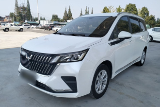 五菱汽车 五菱佳辰 2022款 1.5T 手动舒享活力型