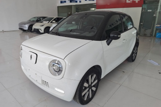 欧拉黑猫 2021款 351km 豪华型