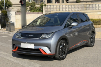 比亚迪 海豚 2021款 405km 时尚版