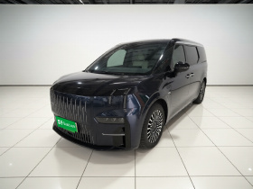 极氪009 2022款 WE版