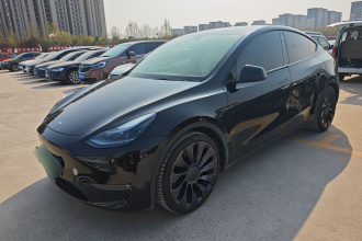 特斯拉 Model Y 2022款 Performance高性能全轮驱动版