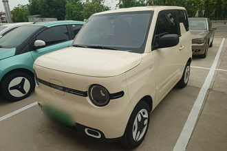 吉利银河 2025款 熊猫mini 210km 元气熊