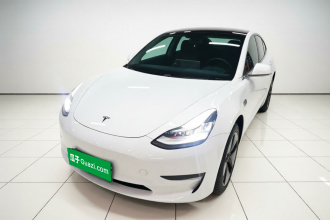 特斯拉 Model 3(进口) 2019款 长续航后驱版
