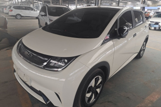 比亚迪 海豚 2024款 荣耀版 420km 时尚版