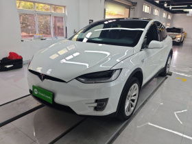 特斯拉 Model X 2019款 Performance 高性能版