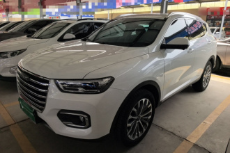 哈弗H6 2020款 1.5GDIT 自动铂金豪华版