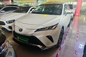 丰田 威飒 2023款 2.0L CVT两驱尊贵版