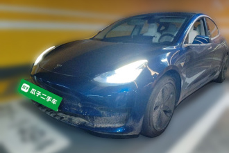 特斯拉 Model 3(进口) 2019款 标准续航后驱升级版(52度)