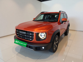 哈弗大狗 2022款 1.5T DCT两驱拉布拉多版