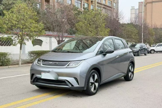 比亚迪 海豚 2023款 420km 时尚版