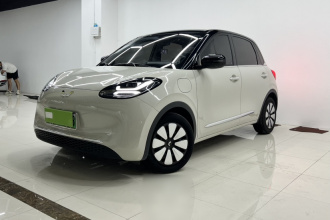 五菱汽车 五菱缤果 2024款 333km 悦享款