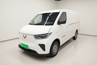 五菱汽车 五菱扬光 2024款 300km 实用型封窗版 60kW
