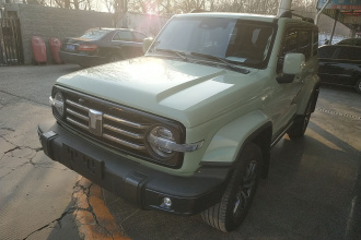 坦克300 2021款 城市版 2.0T 很有型