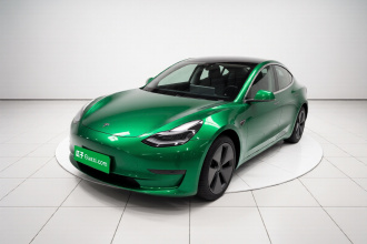 特斯拉 Model 3 2020款 改款 标准续航后驱升级版