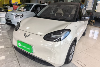 五菱汽车 五菱缤果 2023款 333km 灵犀互联款