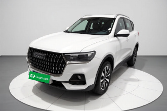 哈弗H6 2023款 国潮版 1.5T 自动冠军版