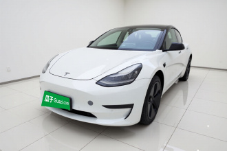 特斯拉 Model 3 2019款 标准续航后驱升级版
