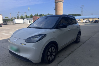 五菱汽车 五菱缤果 2023款 333km 灵犀互联+款