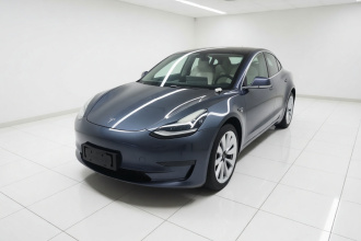 特斯拉 Model 3 2020款 改款 长续航后轮驱动版