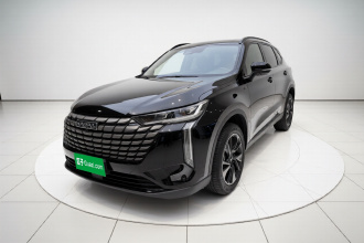 哈弗H6 2024款 1.5T 两驱Max