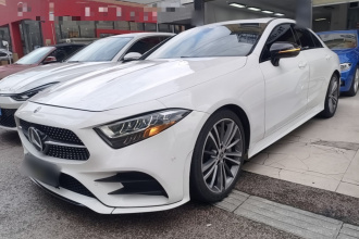奔驰CLS 2020款 CLS 300 动感型