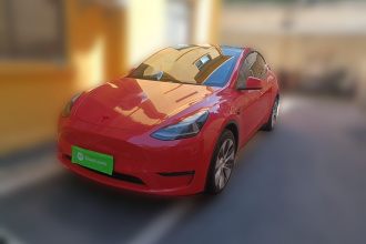 特斯拉 Model Y 2021款 标准续航后驱版