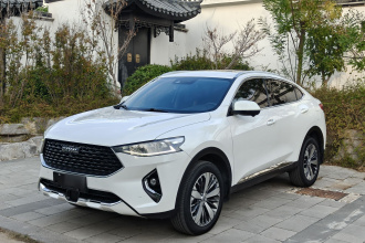 哈弗F7x 2019款 2.0T 两驱极智科技版