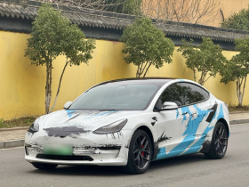 特斯拉 Model 3 2021款 Performance高性能全轮驱动版 3D6