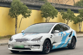 特斯拉 Model 3 2021款 Performance高性能全轮驱动版 3D6