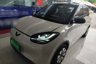 五菱汽车 五菱缤果 2024款 333km 灵犀互联款