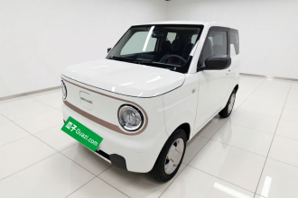 吉利银河 2023款 熊猫mini 200km 耐力熊
