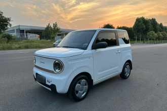 吉利银河 2024款 熊猫mini 200km 耐力熊