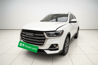 哈弗H6 2021款 国潮版 1.5T 自动冠军版