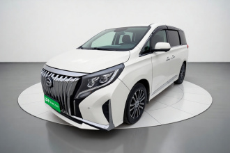 广汽传祺 传祺M8 2021款 领秀系列 390T 至尊版