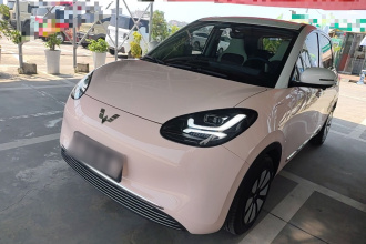 五菱汽车 五菱缤果 2024款 333km 灵犀互联款