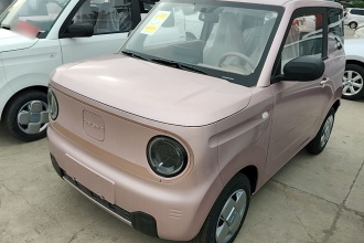 吉利银河 2024款 熊猫mini 200km 耐力熊