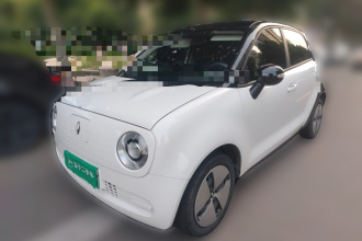欧拉黑猫 2022款 301km 基础型 三元锂