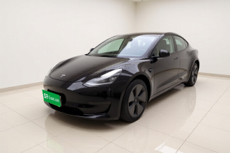 特斯拉 Model 3 2021款 标准续航后驱升级版
