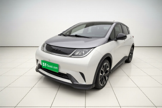 比亚迪 海豚 2021款 401km 骑士版