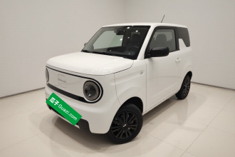 吉利银河 2024款 熊猫mini 200km 耐力熊