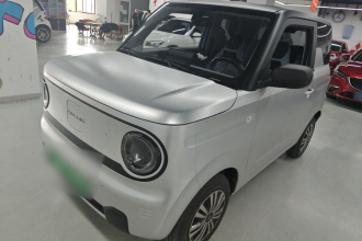 吉利银河 2023款 熊猫mini 200km 耐力熊