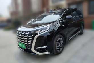 腾势D9 2025款 DM-i 智驾版 1020 四驱尊享型