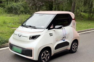 五菱汽车 五菱NanoEV 2021款 迪士尼疯狂动物城Judy款