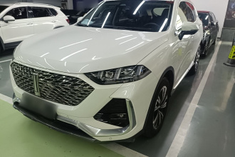 魏牌 拿铁DHT 2022款 1.5T DHT超大杯