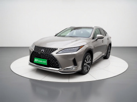 雷克萨斯RX 2021款 300 四驱特别版