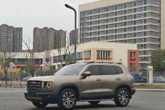 哈弗大狗 2021款 1.5T DCT两驱边牧-旺财版