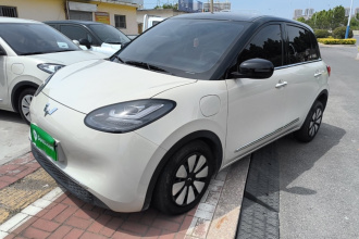 五菱汽车 五菱缤果 2024款 333km 悦享款
