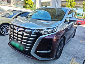 腾势D9 2022款 DM-i 1040 尊贵型